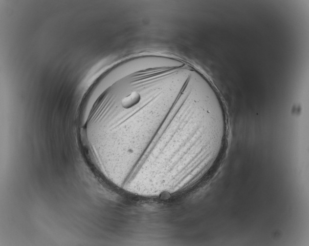 X0000111940199200908241148