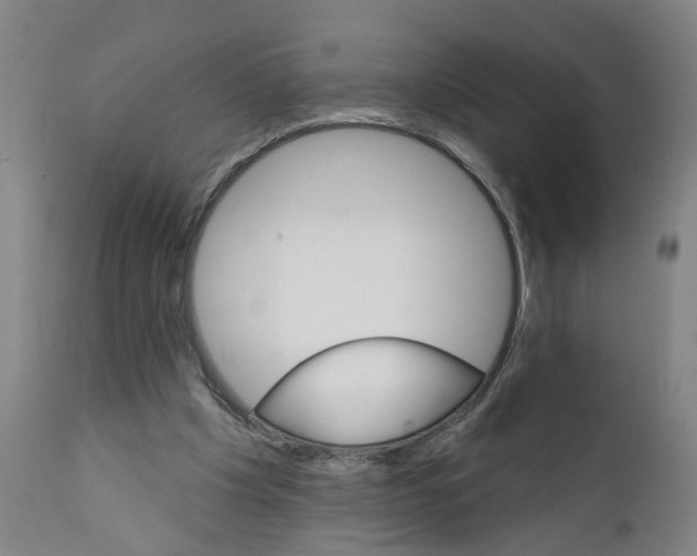 X0000111940201200908241148