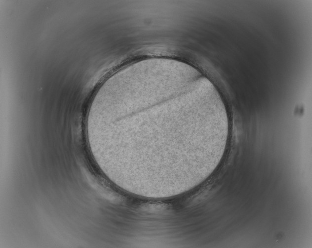 X0000111940202200908241148