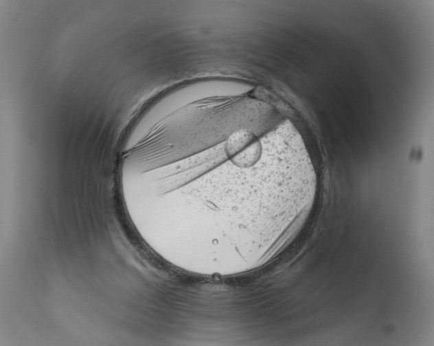 X0000111940203200908241148