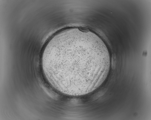 X0000111940204200908241148