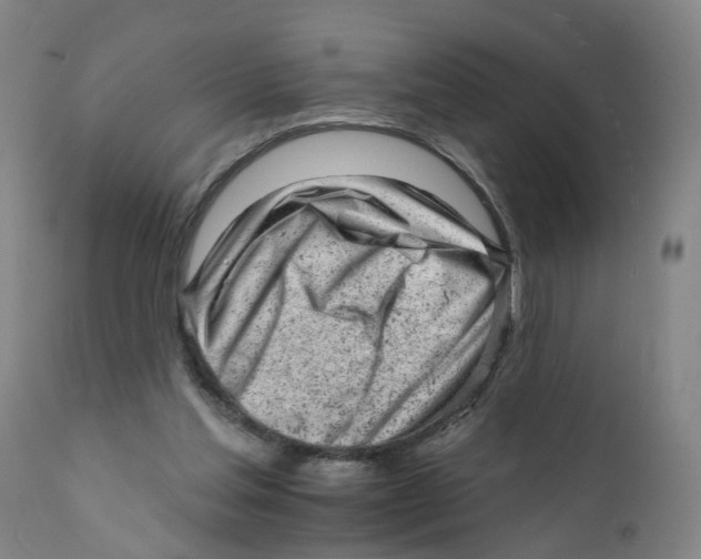 X0000111940205200908241148