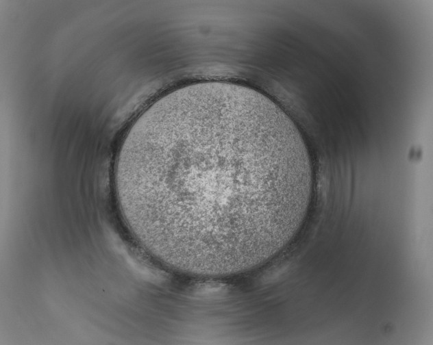 X0000111940206200908241148