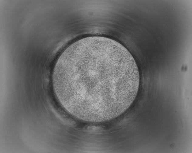 X0000111940208200908241148