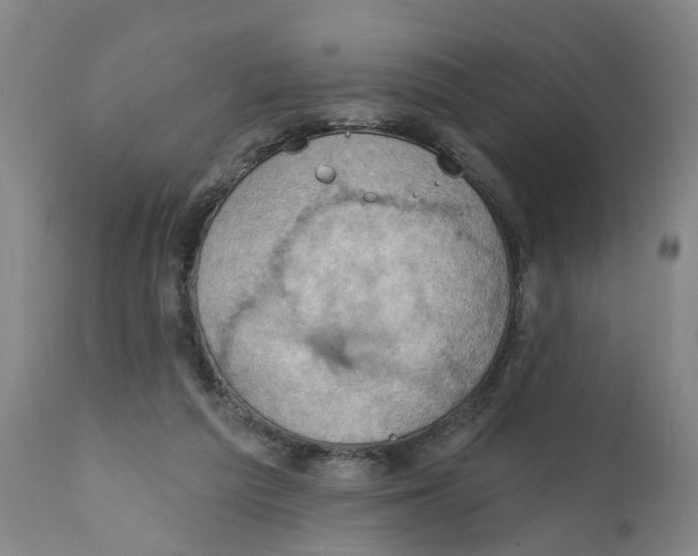 X0000111940209200908241148