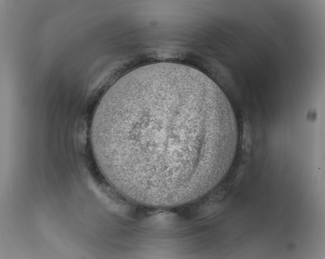 X0000111940210200908241148