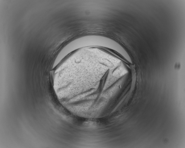X0000111940211200908241148