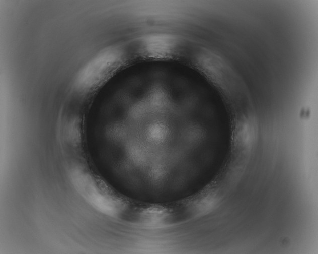 X0000111940213200908241148