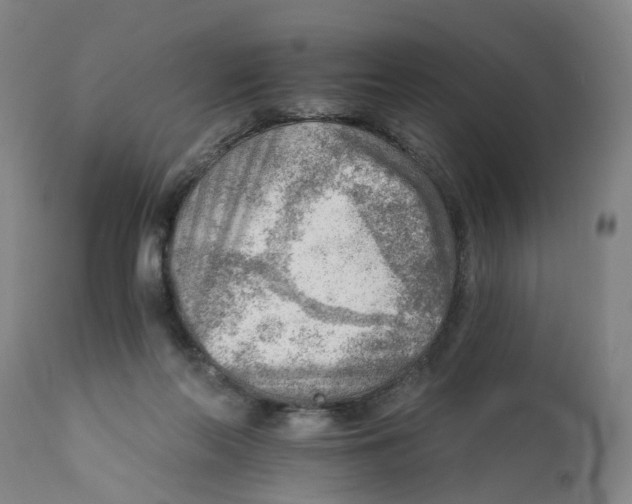 X0000111940214200908241148
