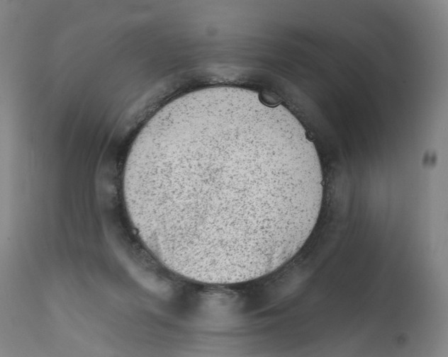 X0000111940215200908241148