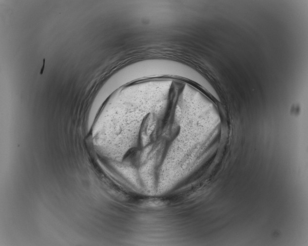 X0000111940217200908241148