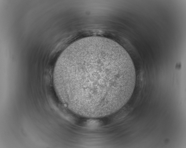 X0000111940218200908241148