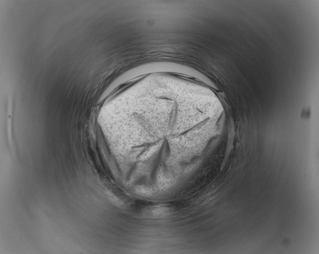 X0000111940219200908241148