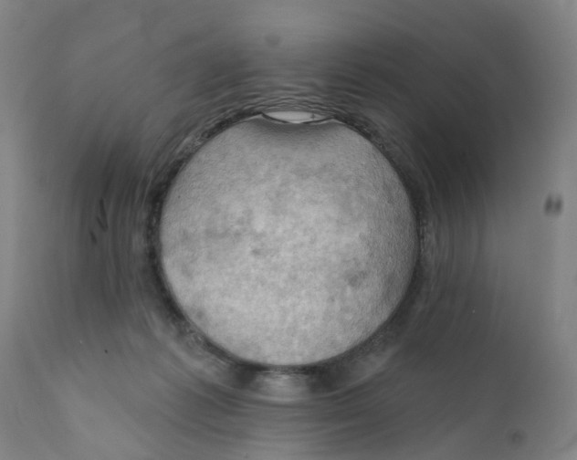 X0000111940221200908241148