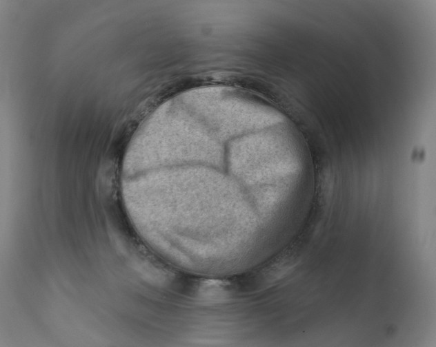 X0000111940222200908241148