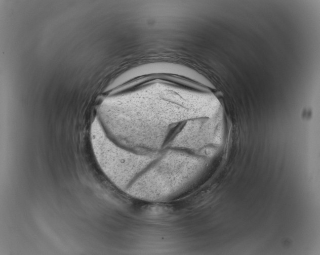 X0000111940223200908241148