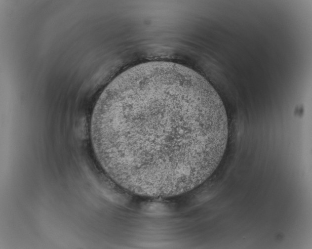 X0000111940224200908241148