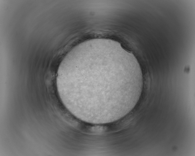 X0000111940225200908241148