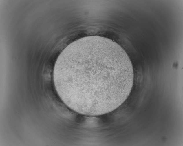 X0000111940226200908241148