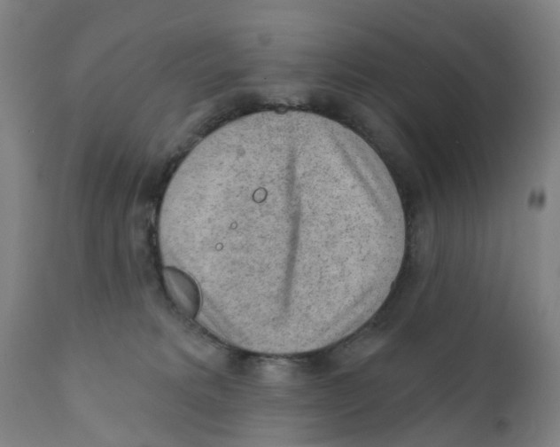 X0000111940229200908241148