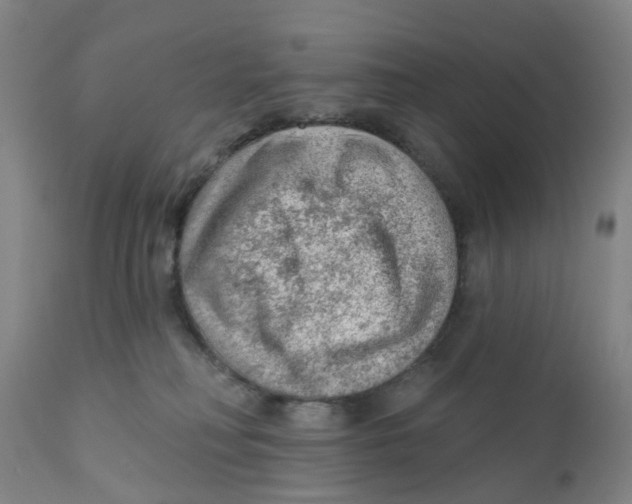 X0000111940230200908241148