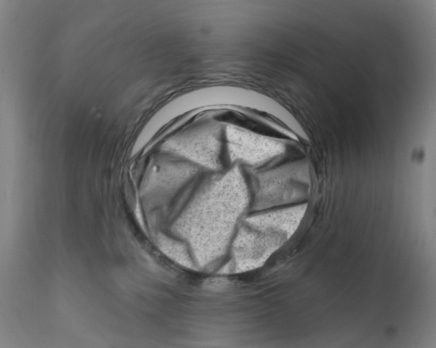 X0000111940231200908241148