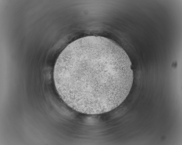 X0000111940232200908241148