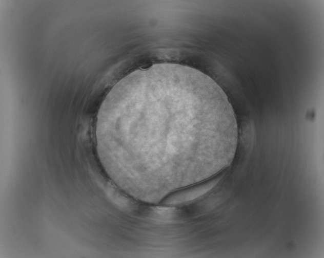 X0000111940233200908241148