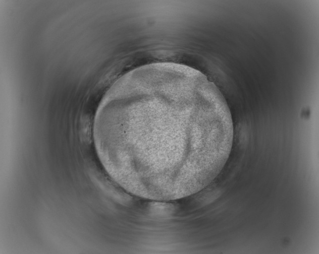 X0000111940234200908241148