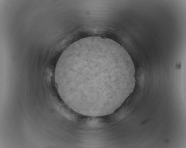 X0000111940235200908241148