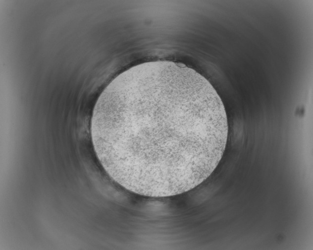 X0000111940236200908241148
