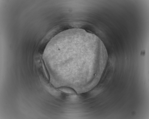 X0000111940237200908241148