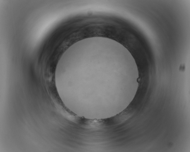X0000111940239200908241148