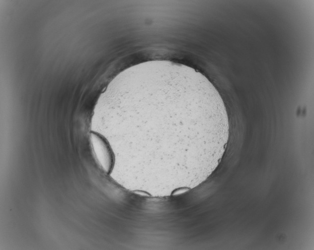 X0000111940240200908241148
