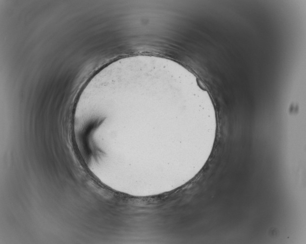 X0000111940241200908241147