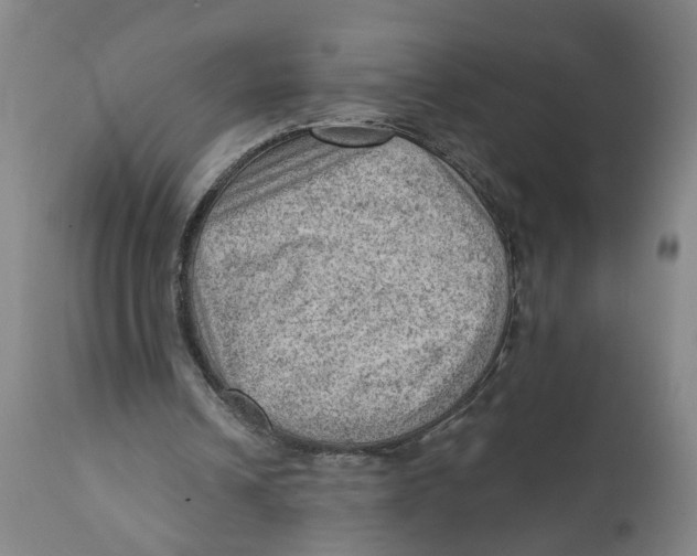 X0000111940242200908241147