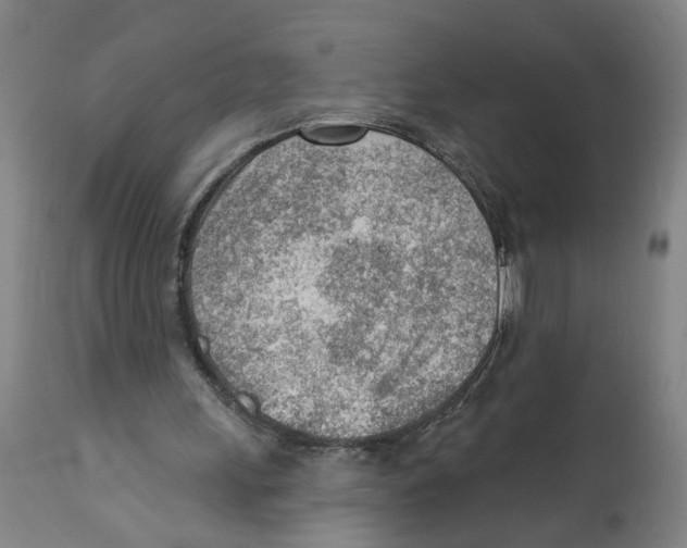 X0000111940243200908241147