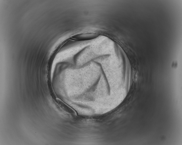 X0000111940244200908241147