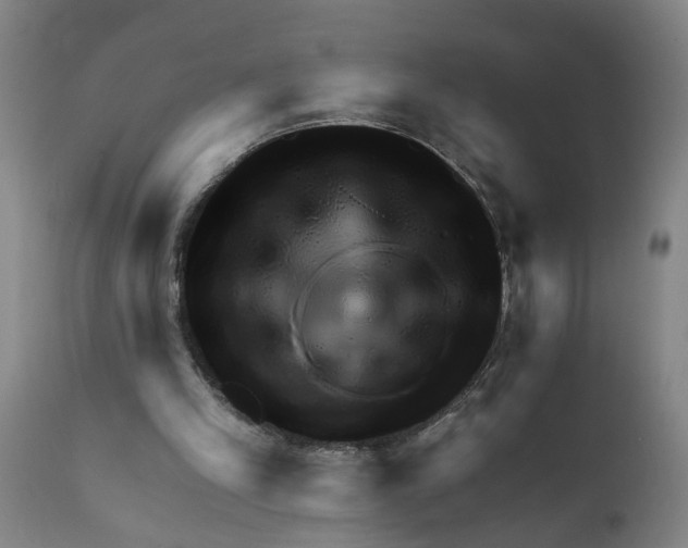 X0000111940245200908241147