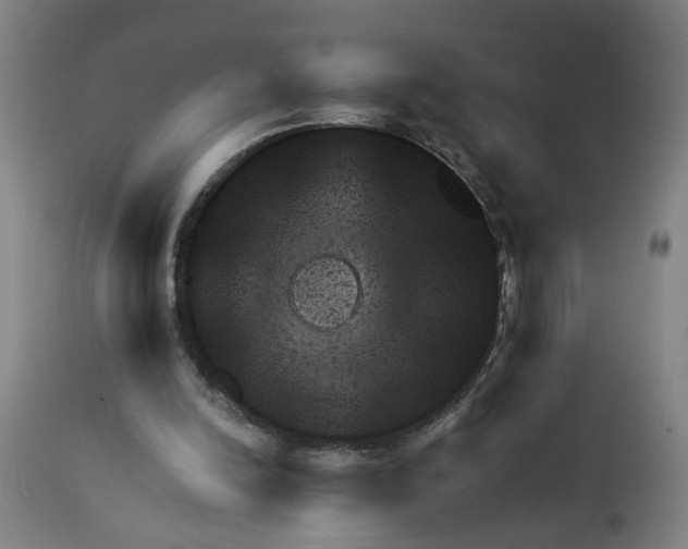 X0000111940246200908241147