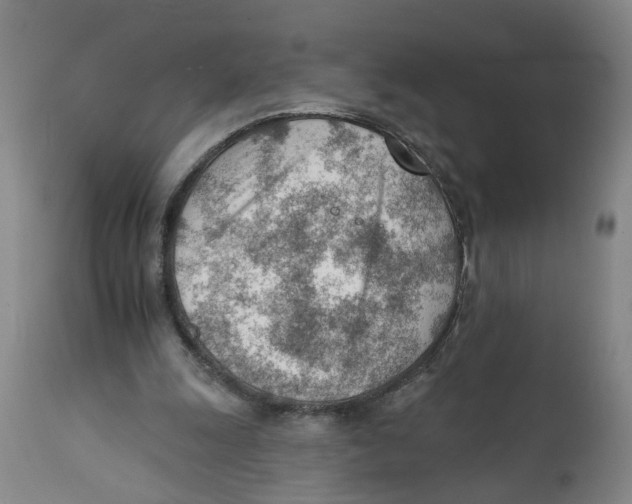 X0000111940247200908241147