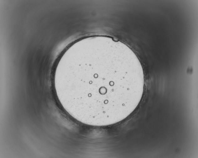 X0000111940248200908241147