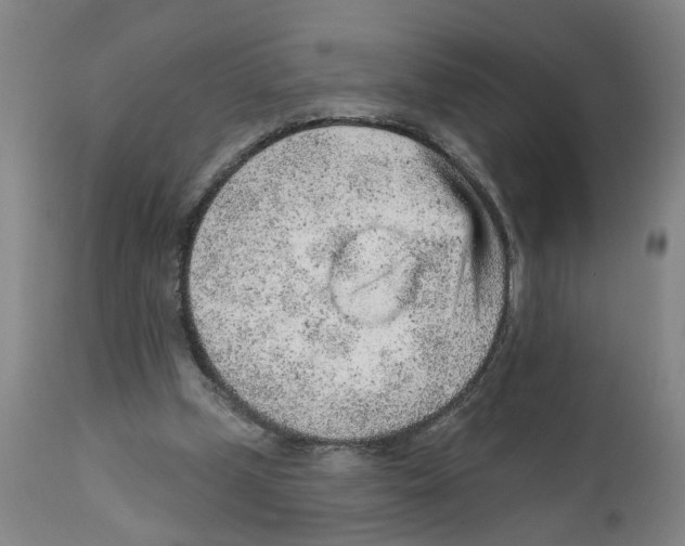 X0000111940249200908241147