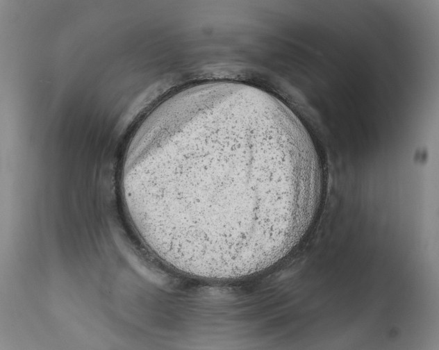 X0000111940250200908241147