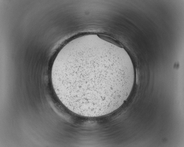 X0000111940252200908241147