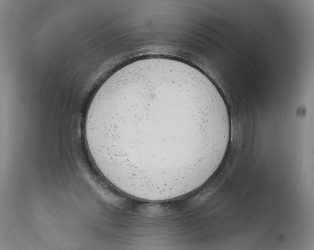X0000111940253200908241147
