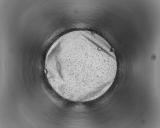 X0000111940256200908241147