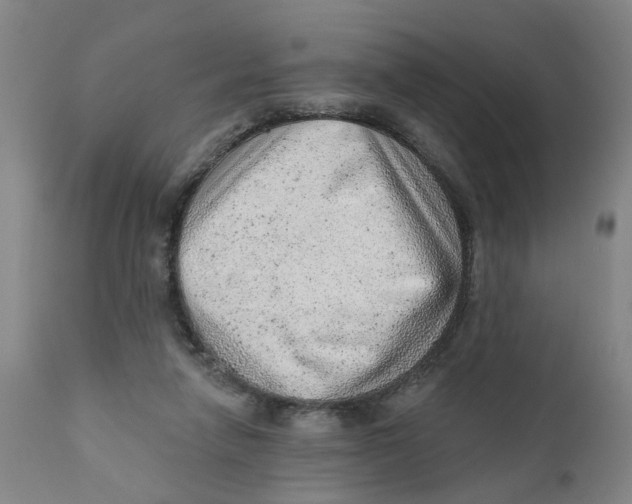 X0000111940258200908241147