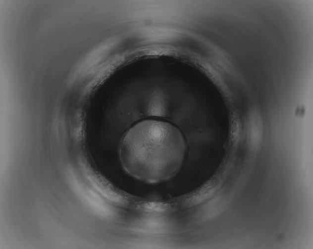 X0000111940261200908241147