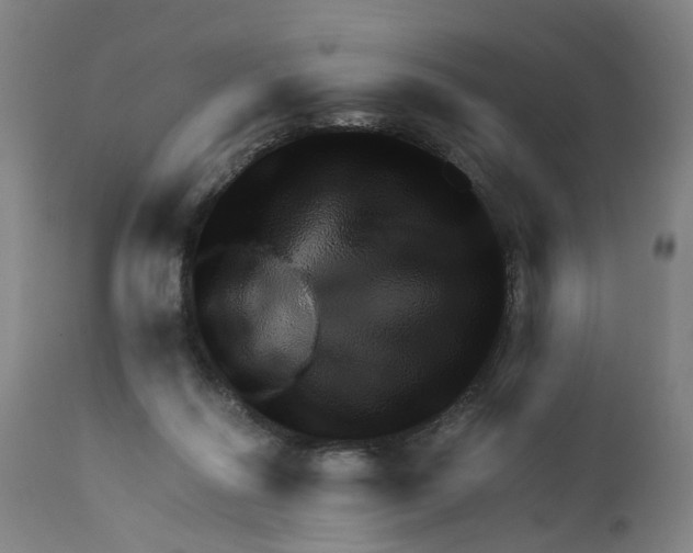 X0000111940262200908241147